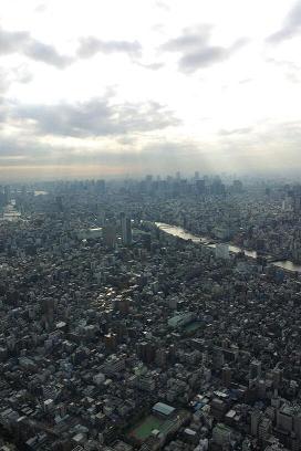 展望台からの景色