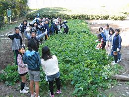 今から掘るぞ「わくわく」